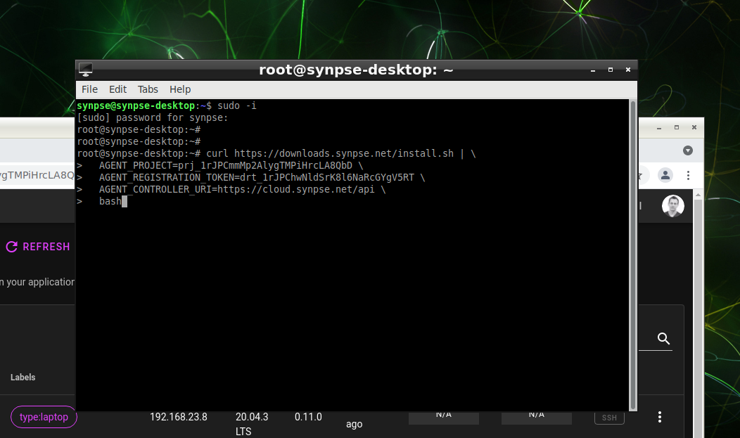 Copy the installation command into the terminal
